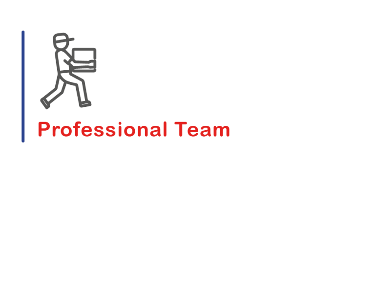 Professional Team