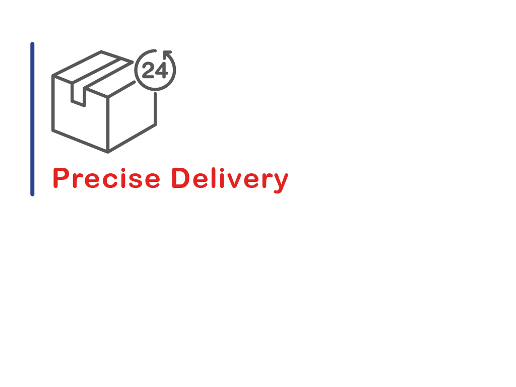Precise-Delivery-1.png